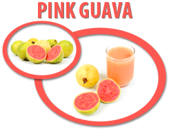 pink guava concentrate usa