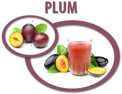 plum concentrate usa