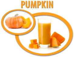 pumpkin puree concentrate usa