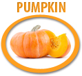 pumpkin puree concentrate usa