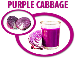 purple cabbage concentrate usa