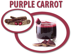 purple carrot juice concentrate usa