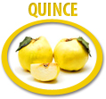 quince concentrate usa