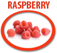 raspberry concentrate usa