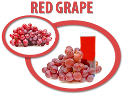 red grape concentrate usa