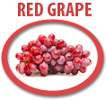 red grape concentrate usa