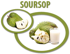 soursop juice concentrate usa