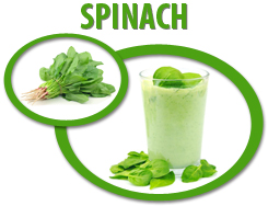 spinach juice concentrate usa