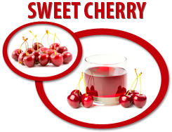 sweet cherry concentrate usa