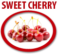 sweet cherry concentrate usa