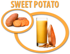 sweet potato puree concentrate usa