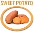 sweet potato puree concentrate usa