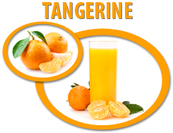 tangerine juice concentrate usa