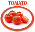 tomato juice concentrate usa