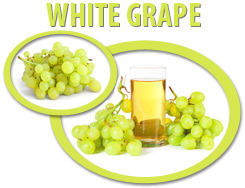 white grape concentrate usa