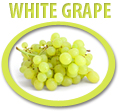 white grape concentrate usa