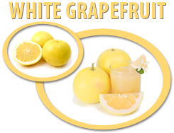 white grapefruit concentrate usa