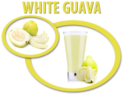 white guava concentrate usa