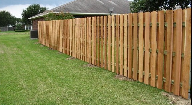 Privacy Fence