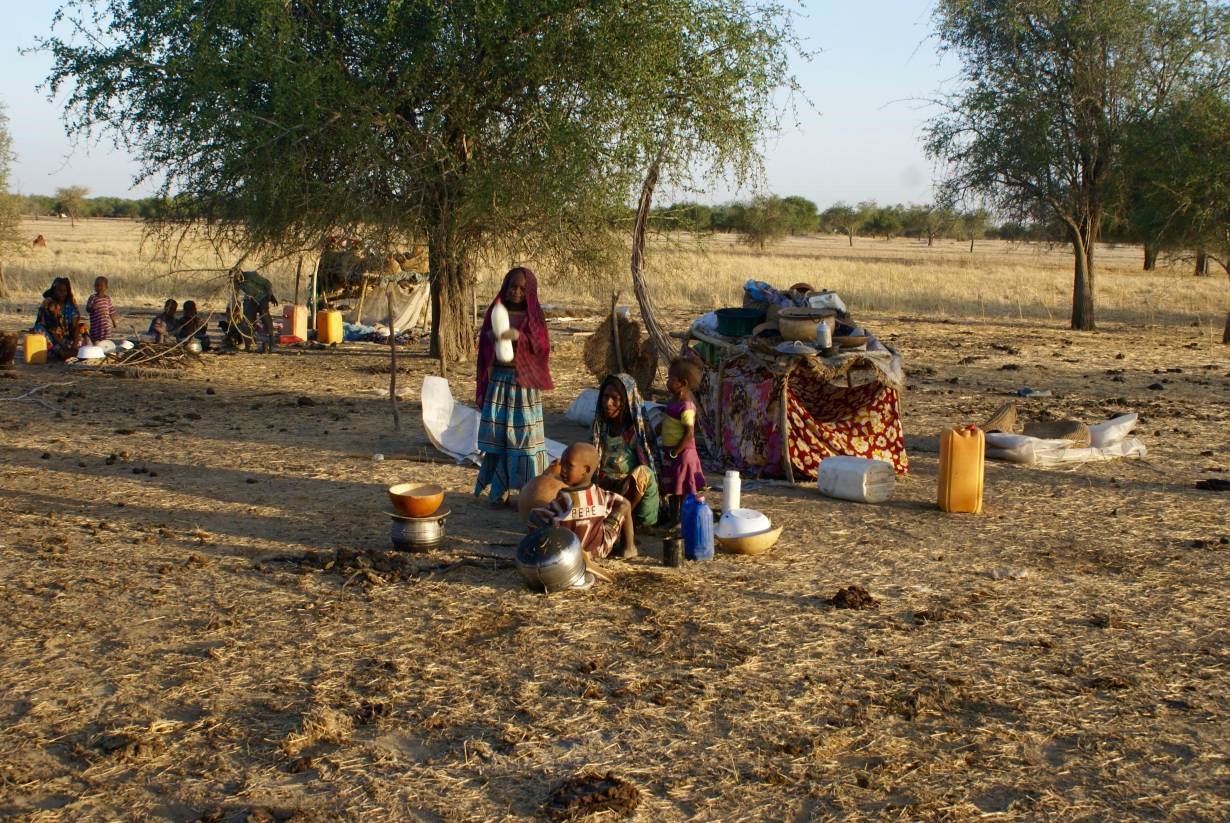 A view of an Mbororo pastoralist camp in Chad. Photo: Hindou Oumarou Ibrahim