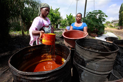 As oil palm expands, African nations agree to protect forests