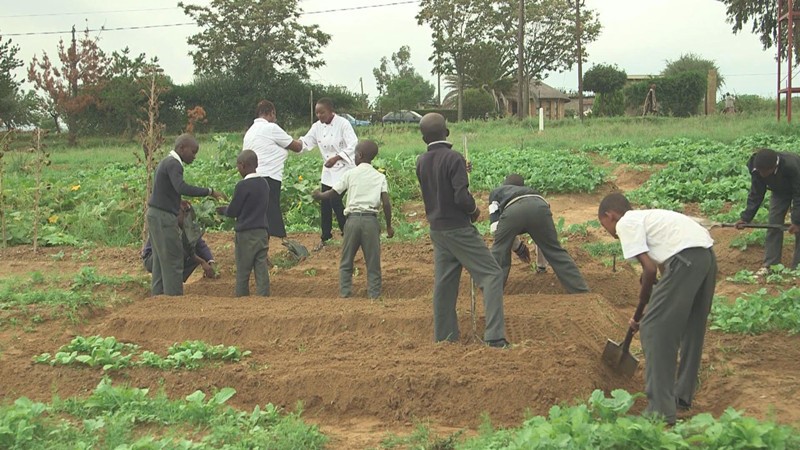 Students planting crops. This is made possible through Ska and her friends' organization, Flava Africa, a charity organization that promotes school agricultural programs.