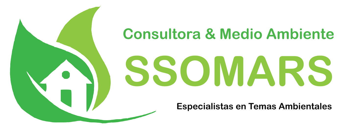 Descripción de la imagen