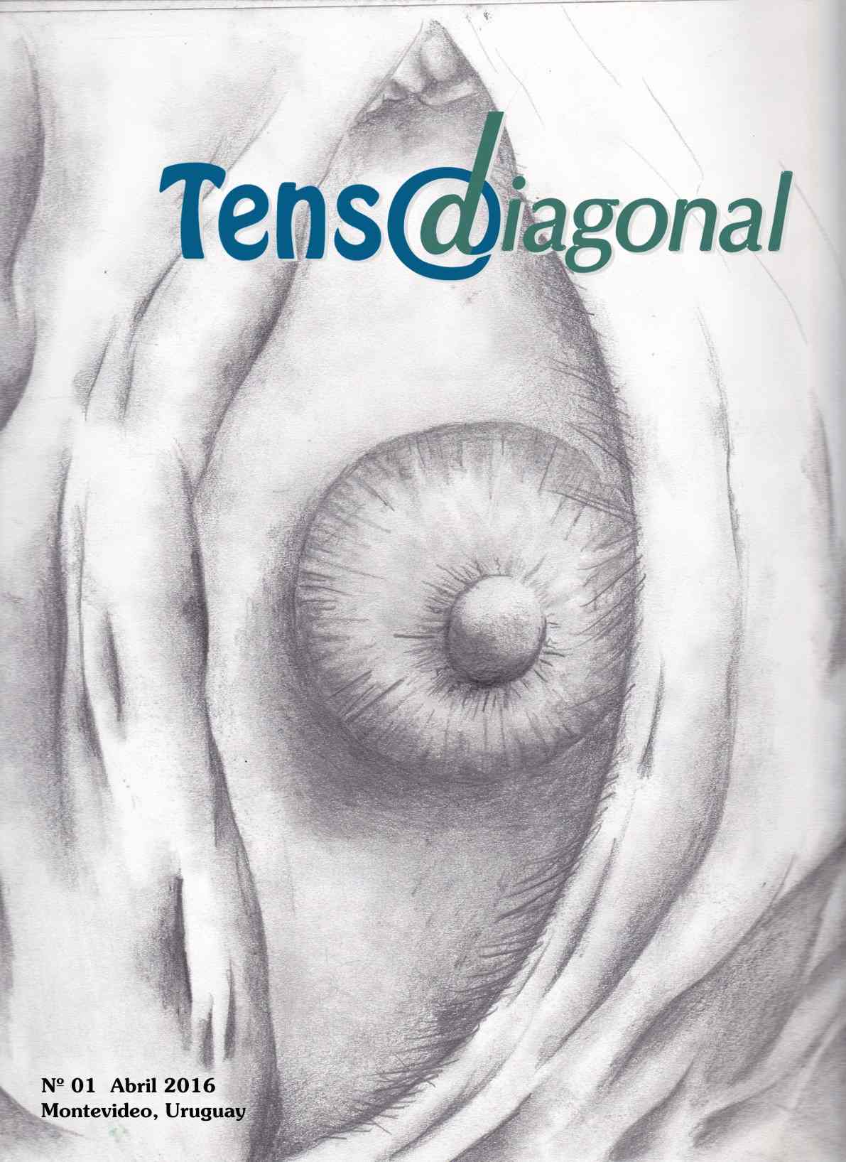 Tenso Diagonal 01