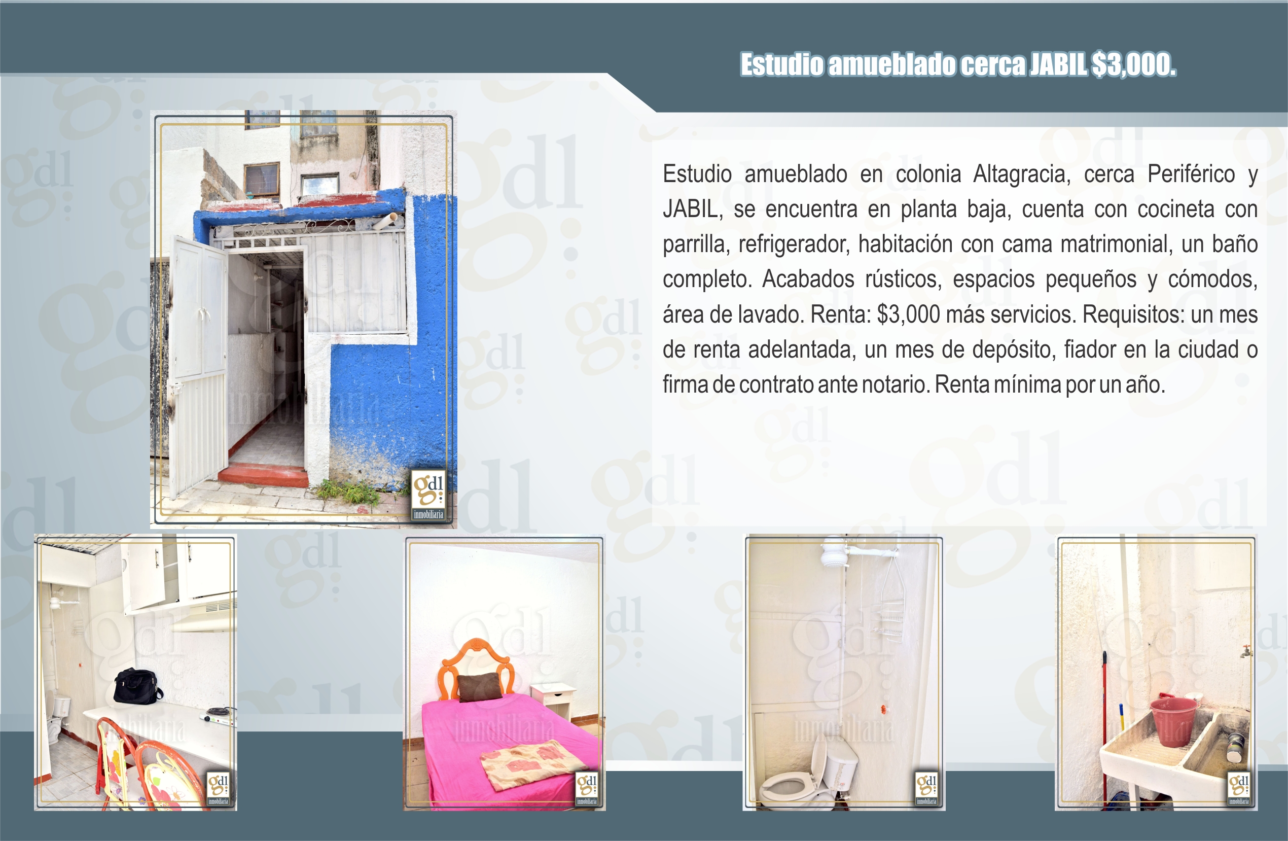 Descripción de la imagen