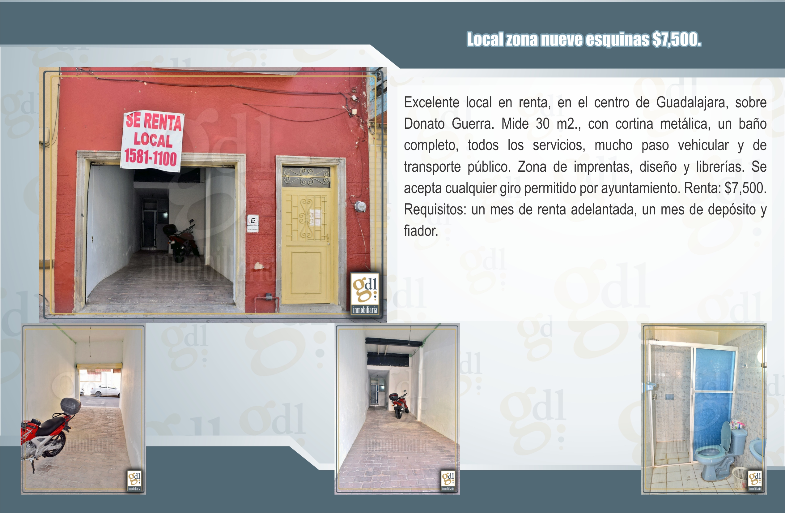 Descripción de la imagen