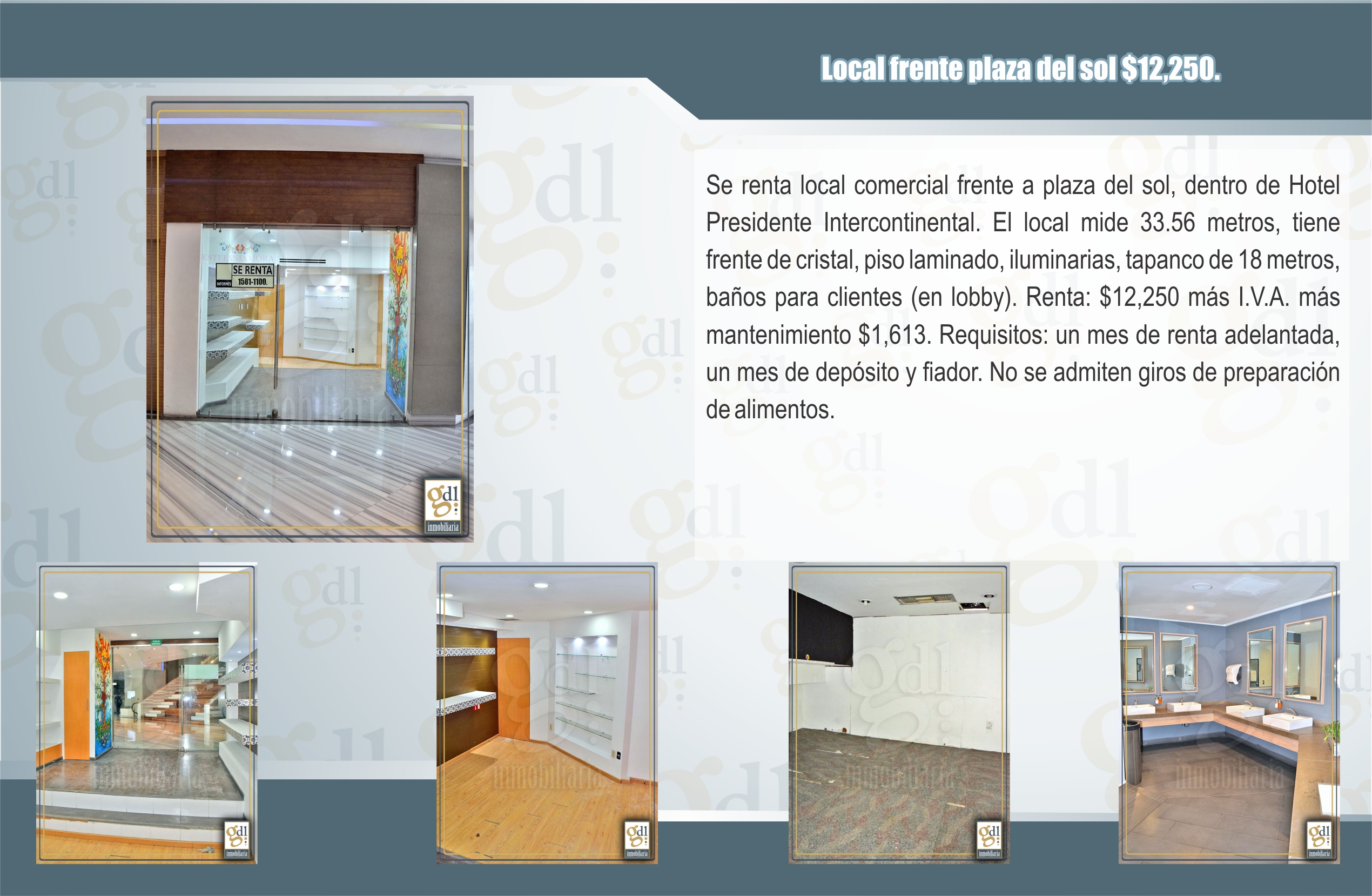 Descripción de la imagen