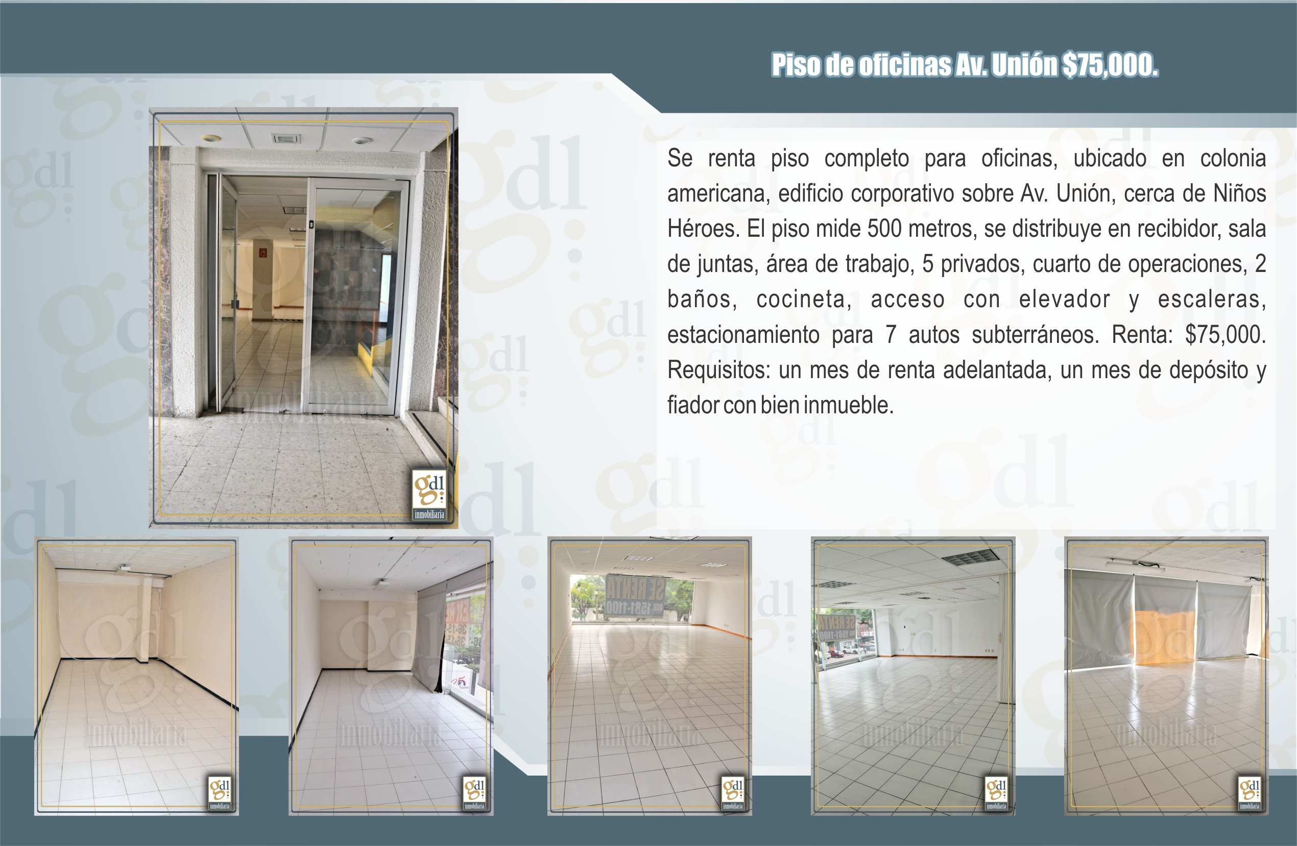 Descripción de la imagen