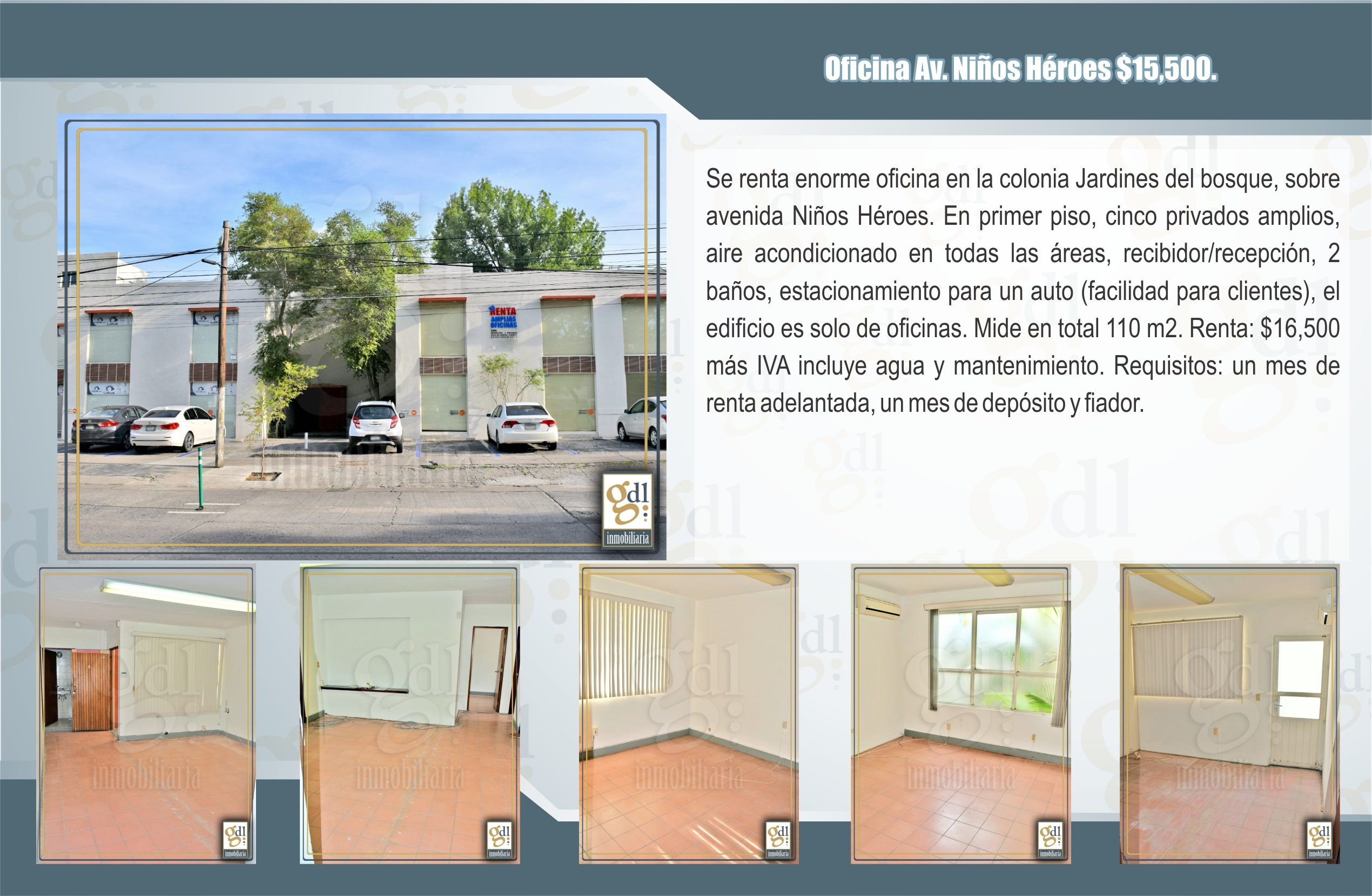 Descripción de la imagen
